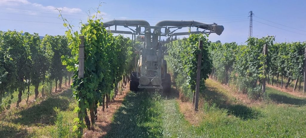 azienda Tonut atomizzatore Martignani Cognac California su vigneto