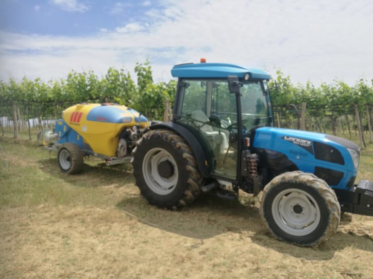 Martignani m612