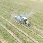 NewPortTrio Martignani