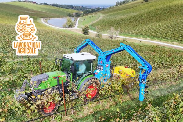 Newport TRIO in campo