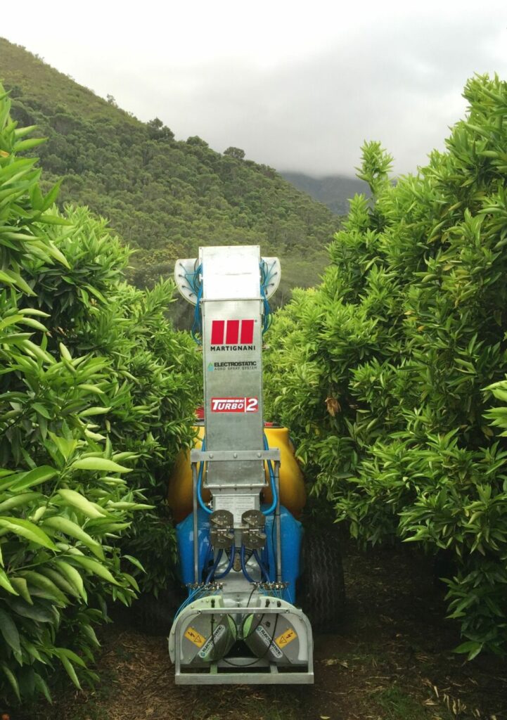 trattamento su agrumi