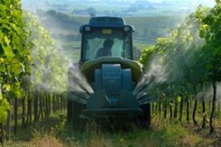 Nebulizzatore Martignani Nebulizzatore Martignani